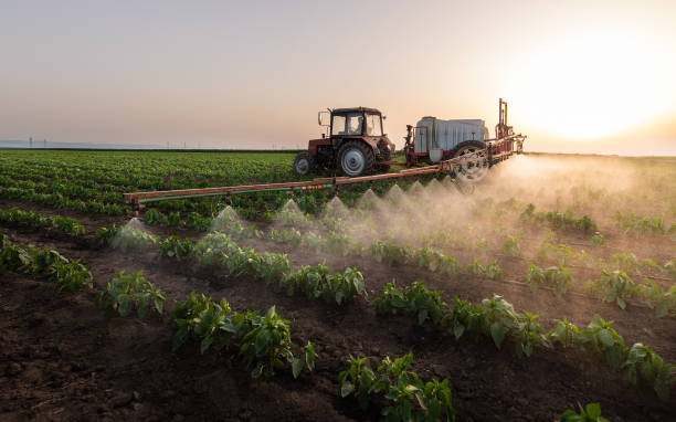 Best Pest Prevention Services  in Cairo, IL