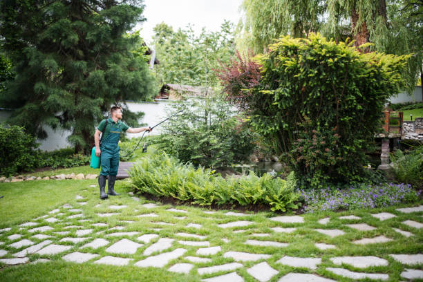 Best Commercial Pest Control Services  in Cairo, IL