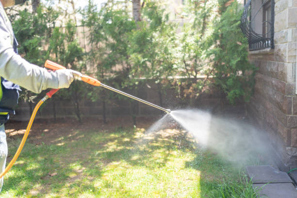 Best Pest Removal Services  in Cairo, IL